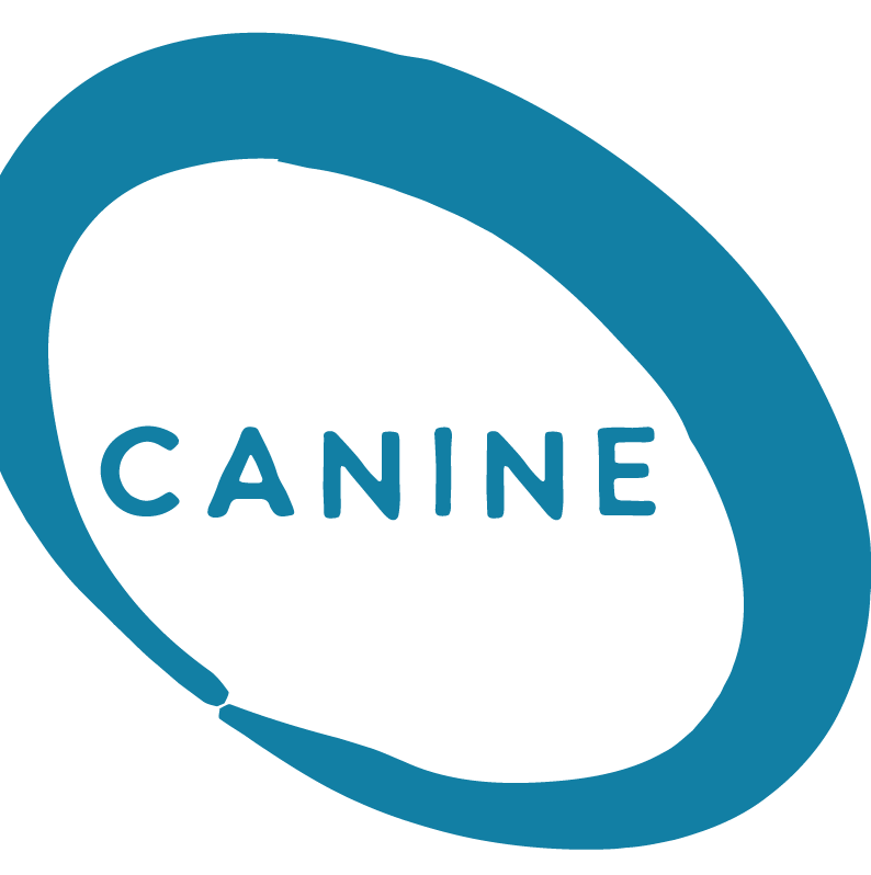 Canine Bowen therapy