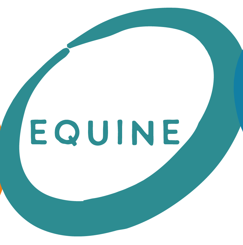 Equine Bowen therapy